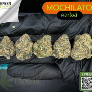 Mochilato