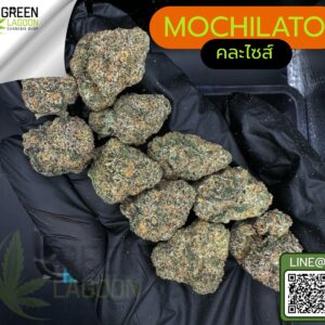 Mochilato