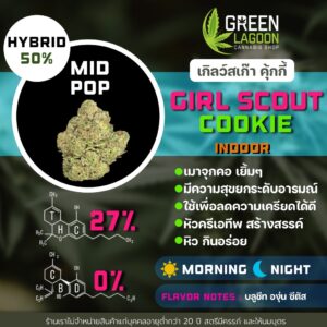 Girl scout cookie