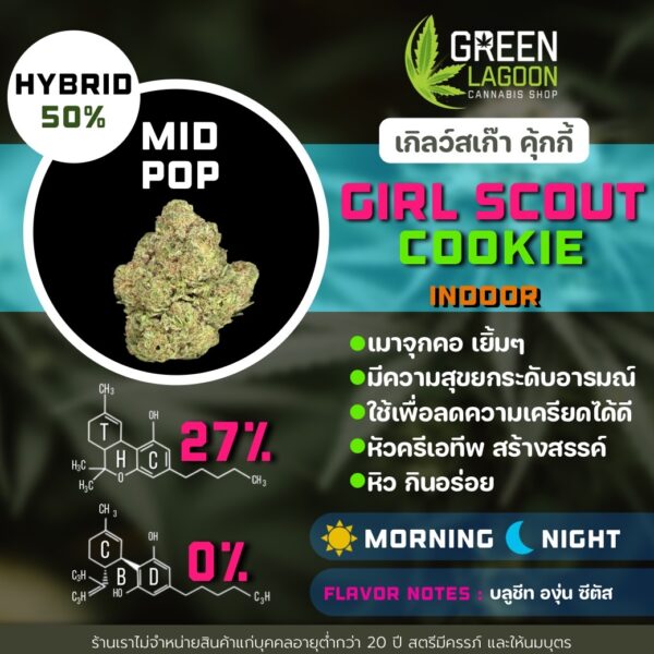 Girl scout cookie