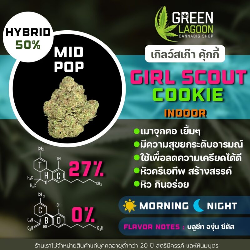Girl scout cookie