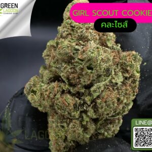 Girl scout cookie