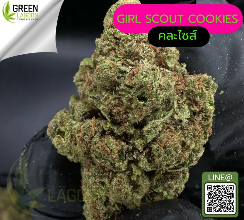 Girl scout cookie