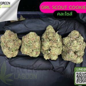 Girl scout cookie