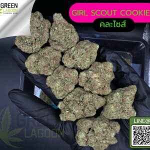 Girl scout cookie