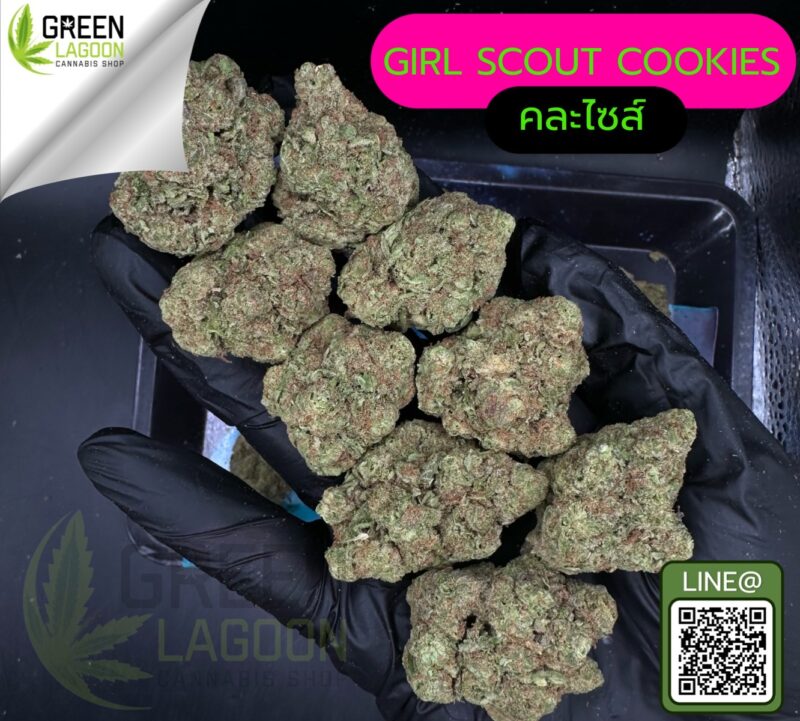 Girl scout cookie