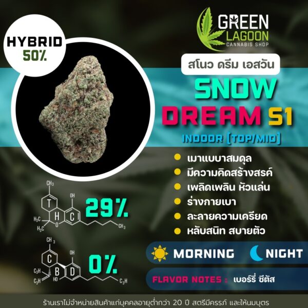 Snow dream S1