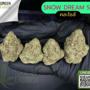 Snow dream S1