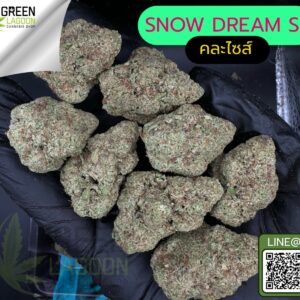 Snow dream S1