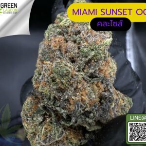 Miami sunset OG