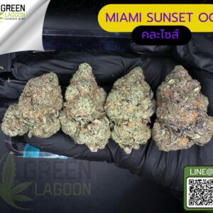 Miami sunset OG