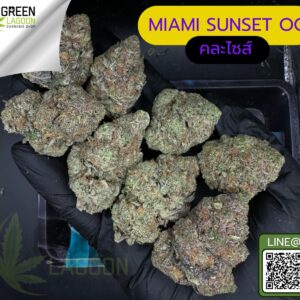 Miami sunset OG