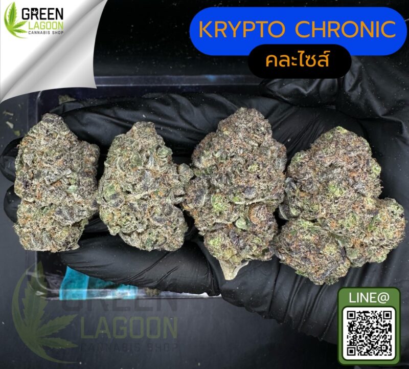 Krypto chronic
