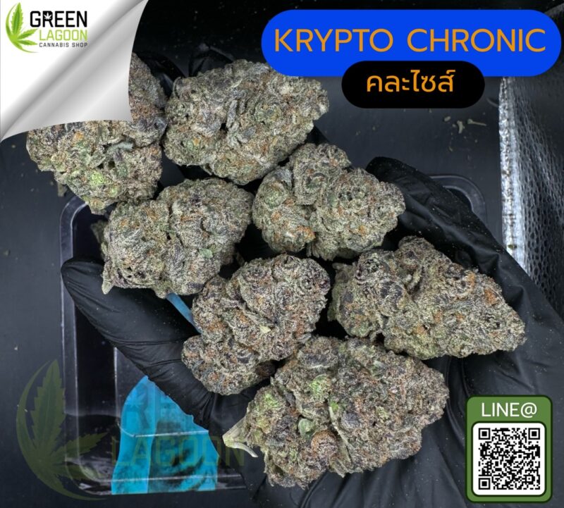 Krypto chronic