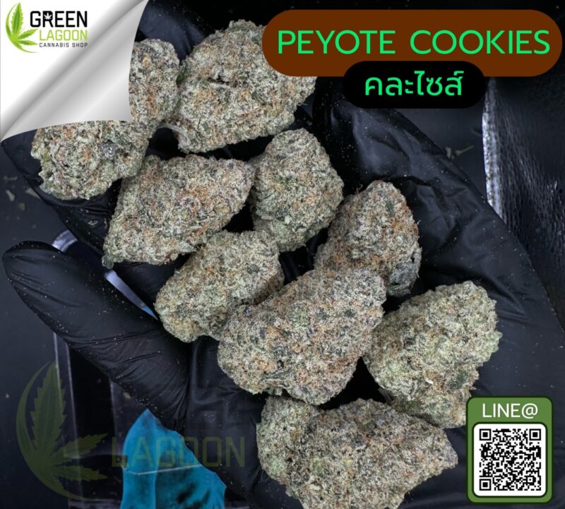 Peyote cookies