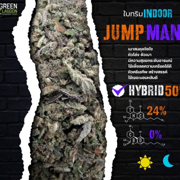 ใบทริม Jump man (indoor)