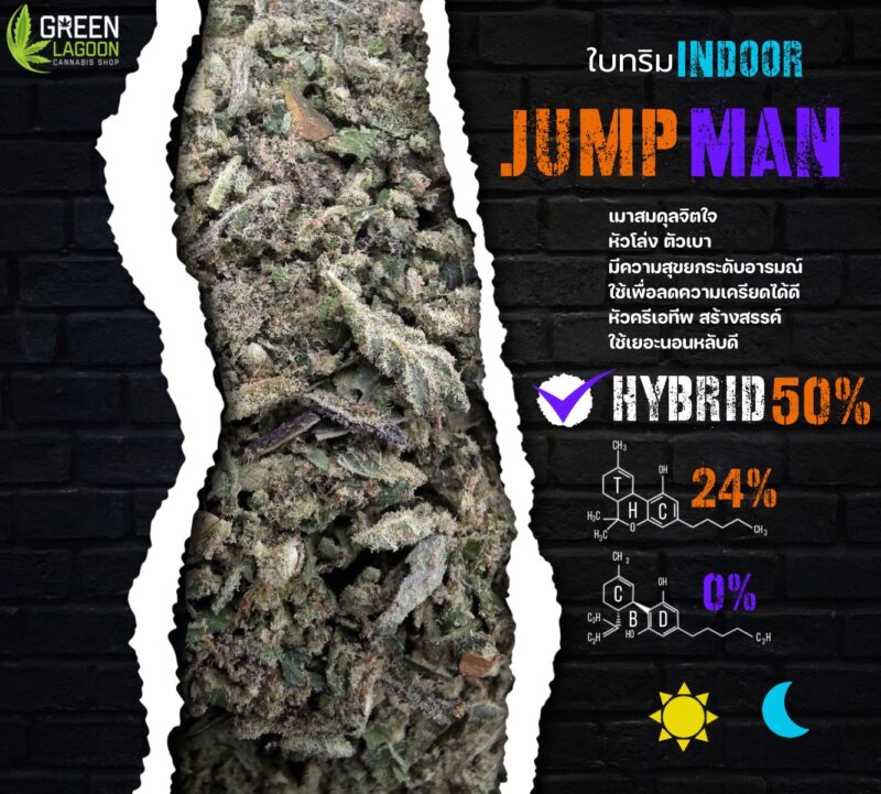 ใบทริม Jump man (indoor)