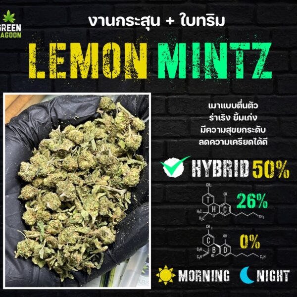 lemon mintz งานกระสุน+ใบทริม (indoor)
