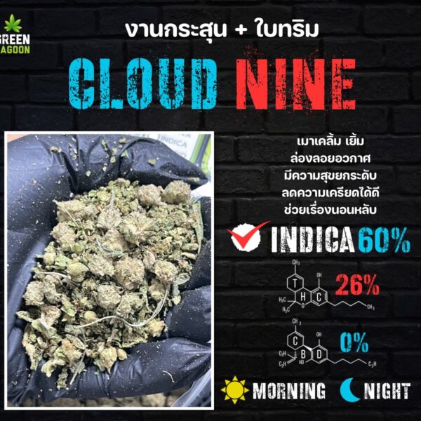Cloud nine งานกระสุน+ใบทริม (indoor)