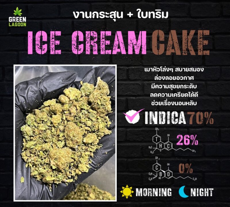 Ice cream cake งานกระสุน+ใบทริม (indoor)