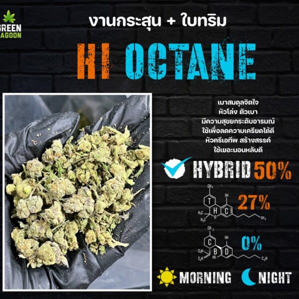 Hi octane งานกระสุน+ใบทริม (indoor)