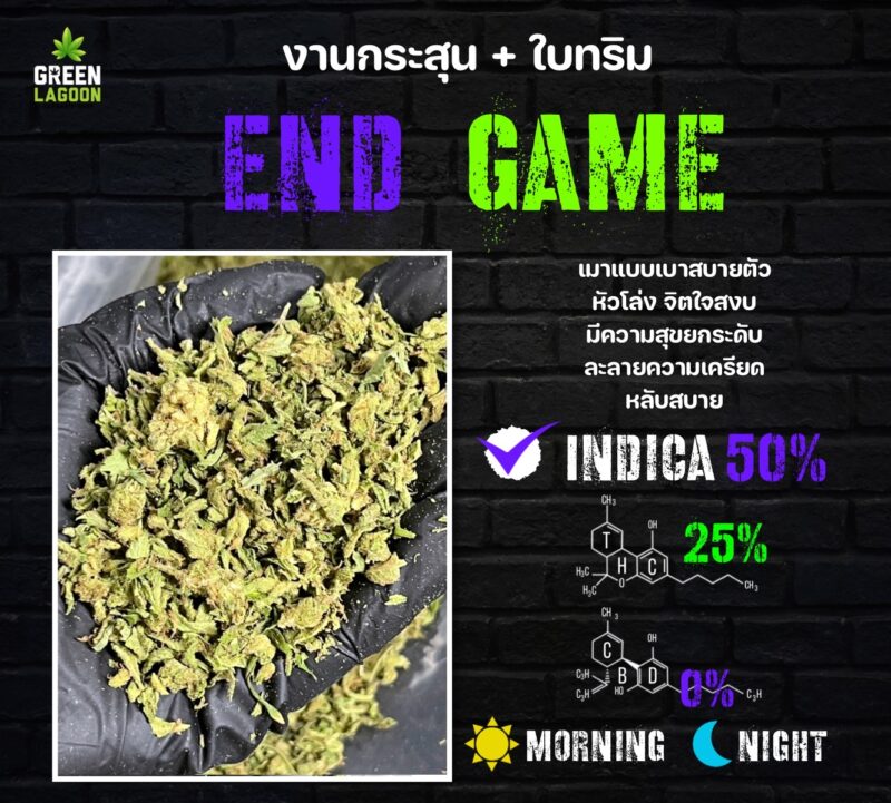End game  งานกระสุน+ใบทริม (indoor)