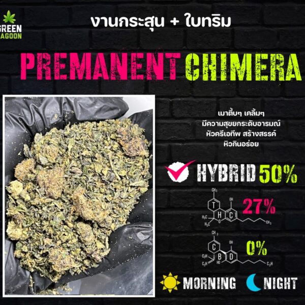Permanent chimera  งานกระสุน+ใบทริม (indoor)