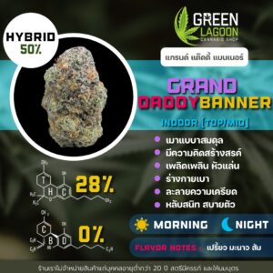 Grandaddy banner