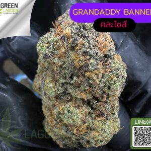 Grandaddy banner