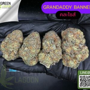Grandaddy banner