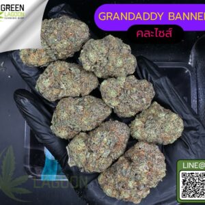 Grandaddy banner