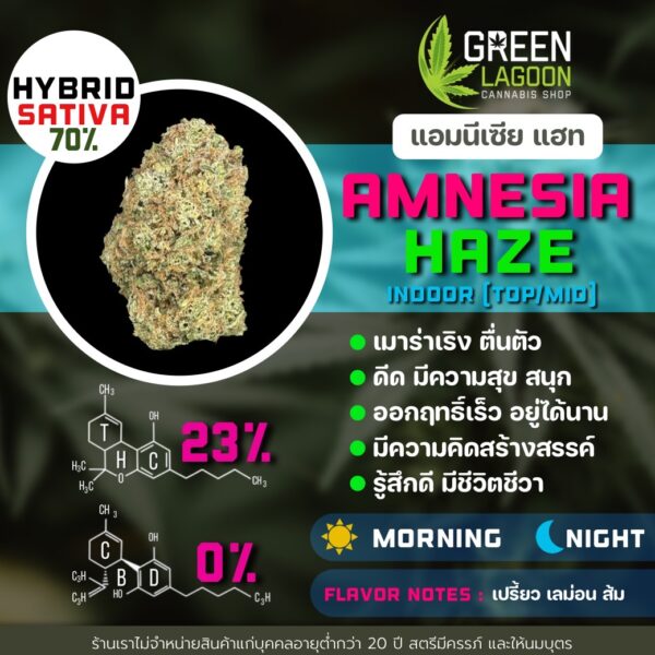 Amnesia haze