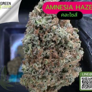 Amnesia haze