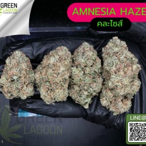 Amnesia haze