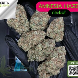 Amnesia haze