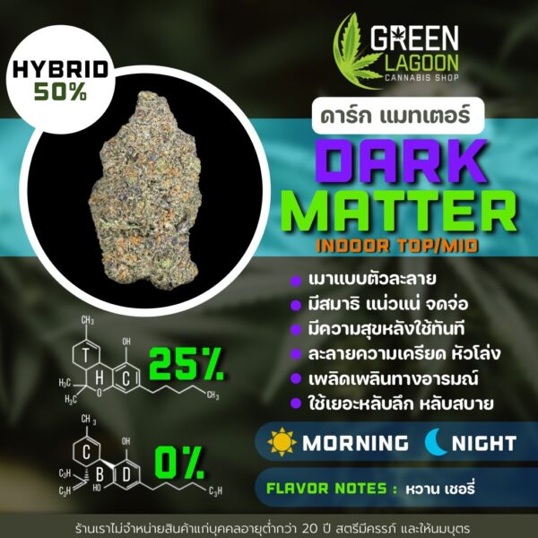 Dark matter