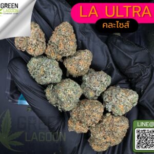 LA ultra