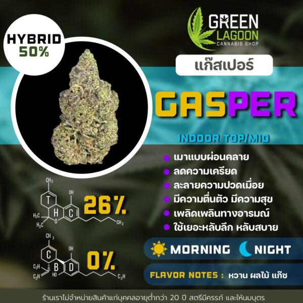 Gasper