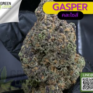 Gasper