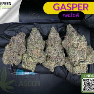 Gasper