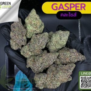 Gasper