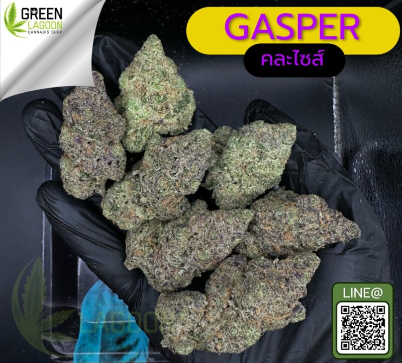 Gasper
