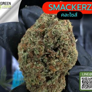 Smackerz