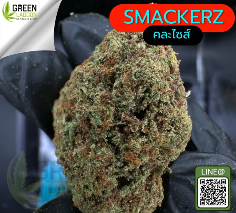 Smackerz
