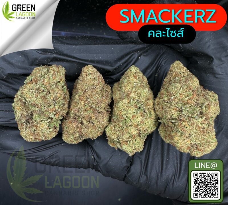 Smackerz