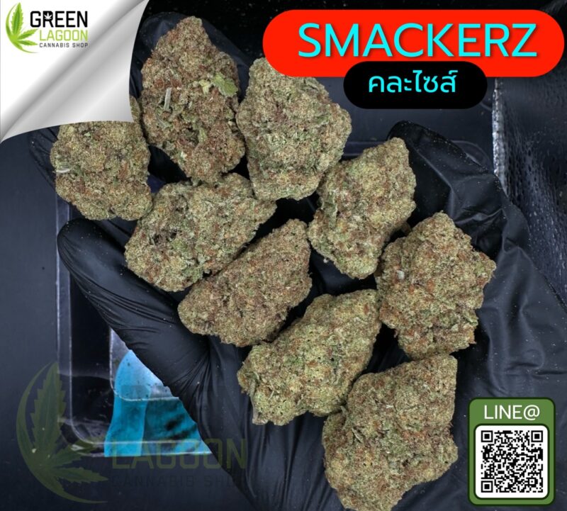 Smackerz
