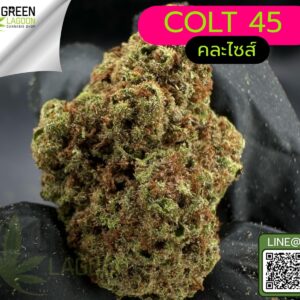 Colt 45