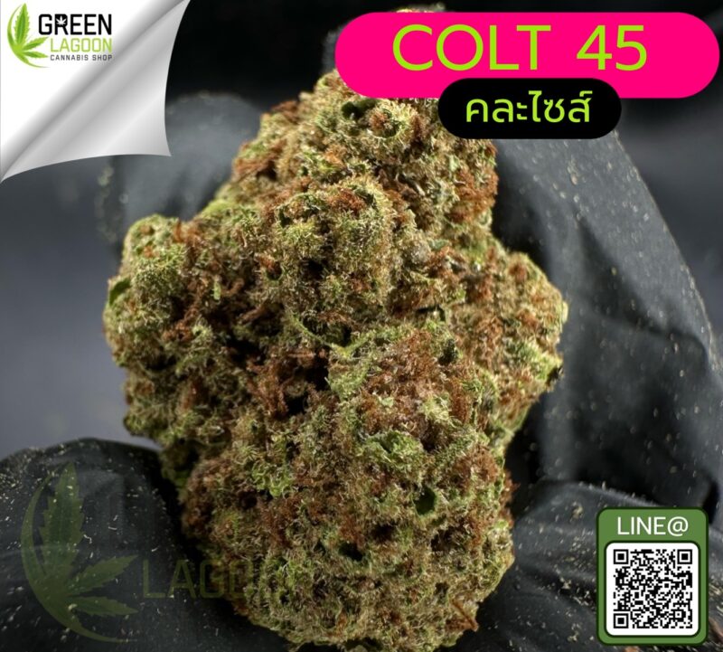 Colt 45