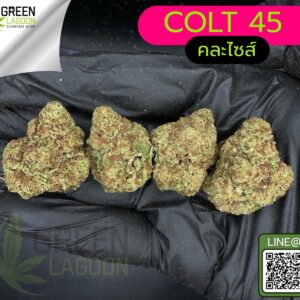 Colt 45