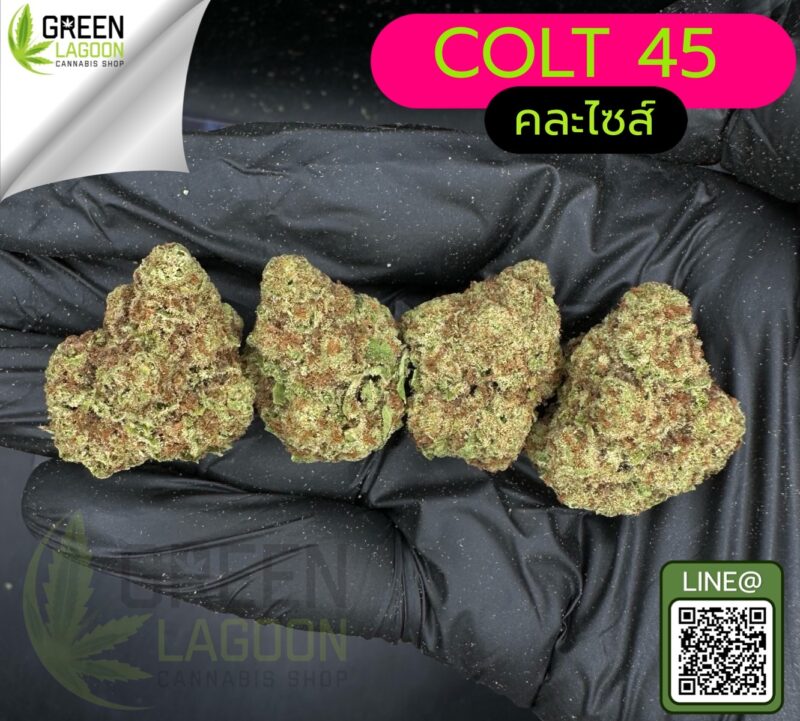 Colt 45